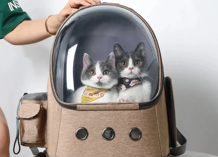 Pet & Family Travel products 2025